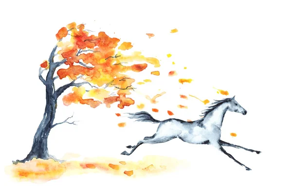 Árbol de otoño acuarela con hojas rojas y caballo galopante gris sobre blanco . — Foto de Stock