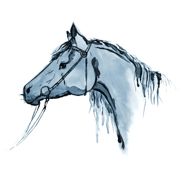 Aquarell Handmalerei Pferdekopf im Zaumzeug auf Weiß. — Stockfoto