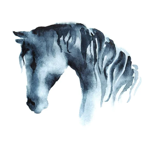 Aquarela mão pintura cabeça de cavalo no branco . — Fotografia de Stock