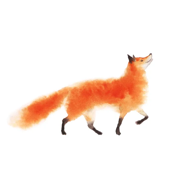 Hareket beyaz üzerine suluboya kırmızı kabarık fox. Gülümseyen gelecek foxy iskambil. — Stok fotoğraf
