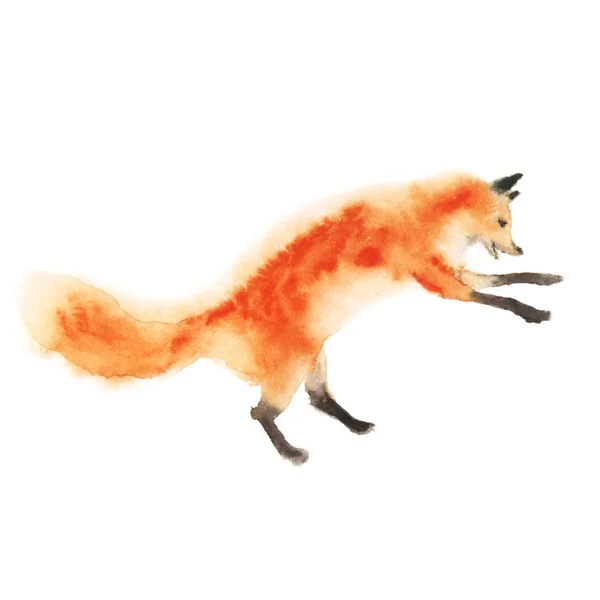 Aquarelle renard pelucheux rouge en mouvement sur blanc. Renard sautant, allant, jouant au renard . — Photo