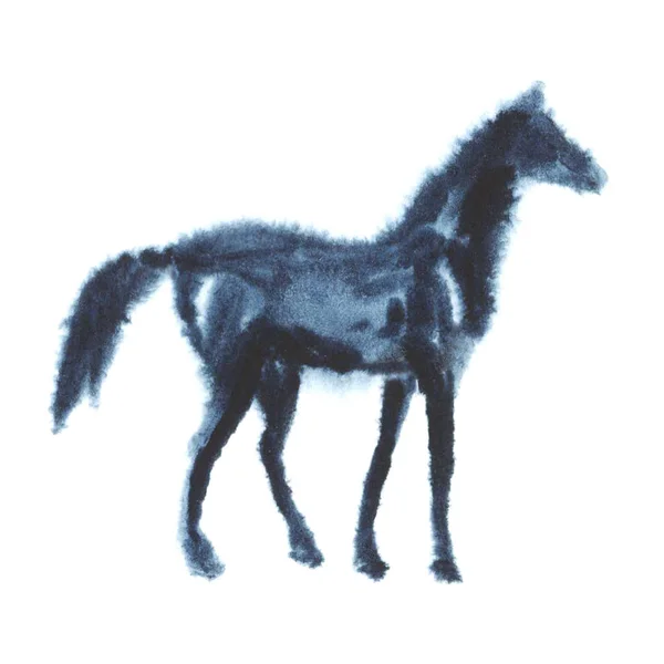 Peinture à la main aquarelle humide poulain cheval sur fond blanc . — Photo