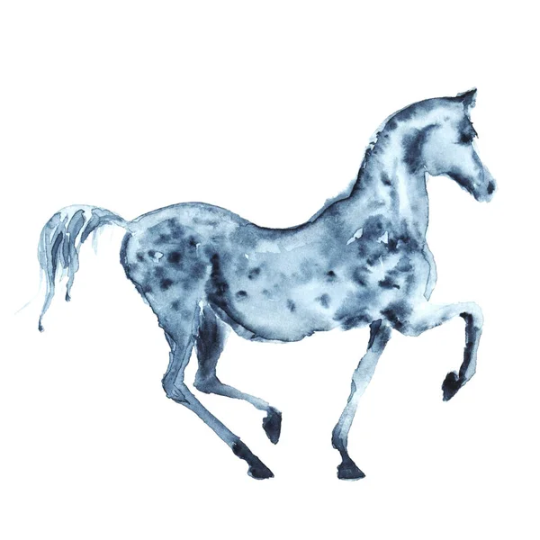 Aquarel hand schilderij Arabische Lulukdayan grijs paard. — Stockfoto