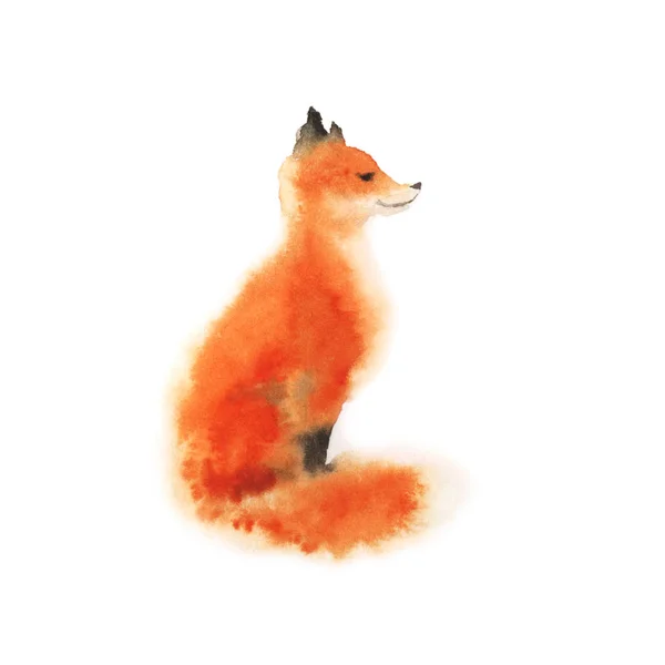 Watercolor red fluffy sitting fox on white. — Stock Photo, Image