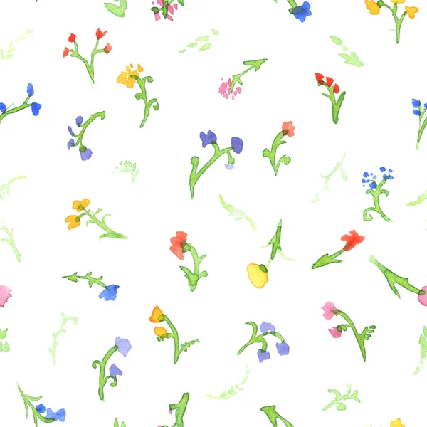 Seamless mönster av akvarell äng, blommor på vit. — Stockfoto