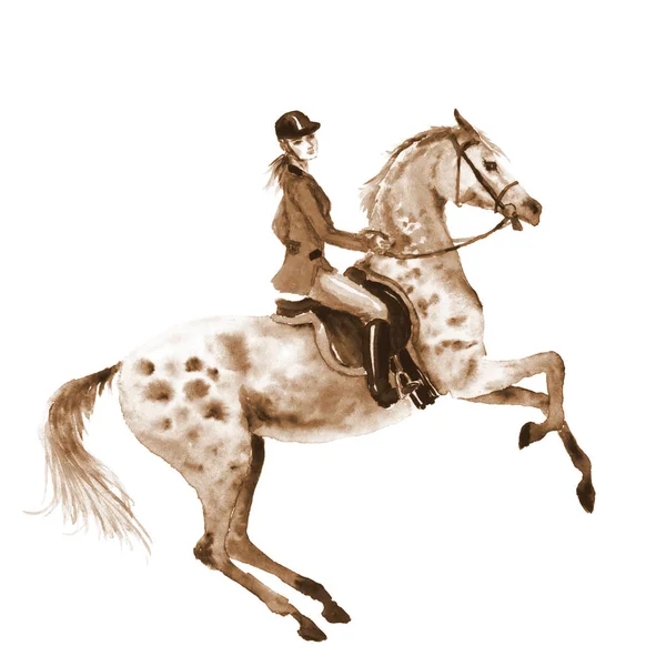 Watercolor rider and horse on white. Sepia horseman girl on rearing up stallion. — Stock Photo, Image