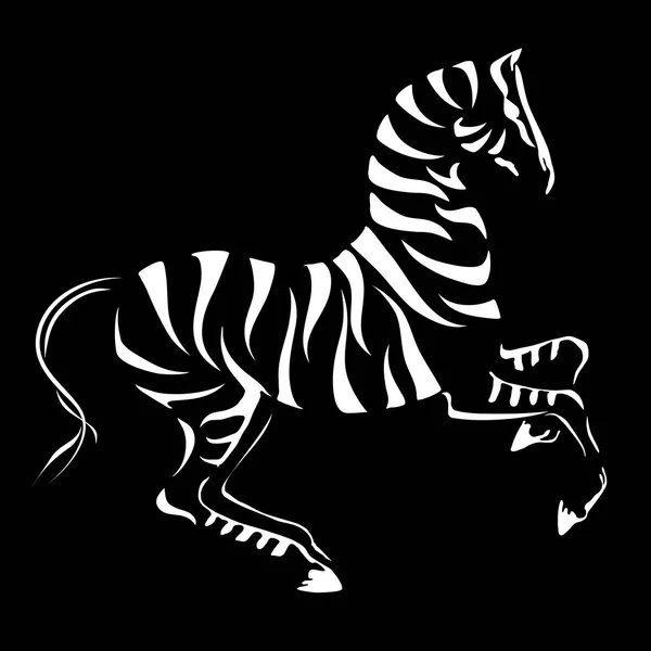 Vector bakre upp zebra — Stock vektor