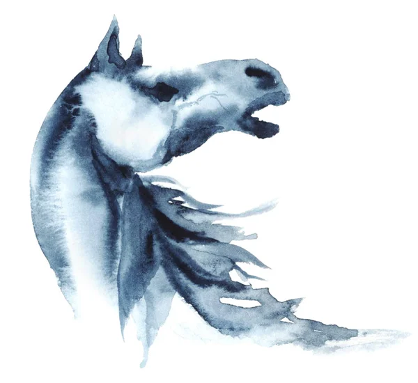 Watercolor neighing horse on white. — Stock Photo, Image