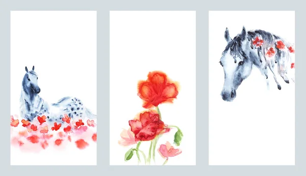 Набор акварельных открыток ручной работы с серой лошадью и красными цветами мака на белом . — стоковое фото