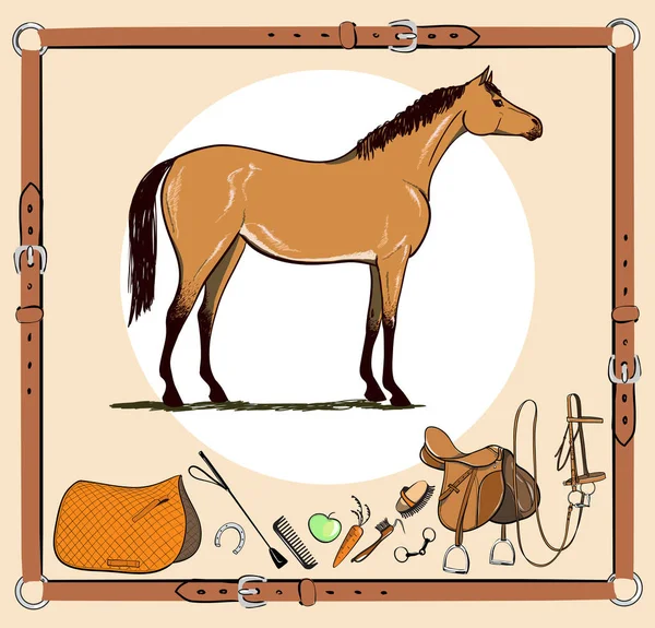 At ve binicilik tack araçları deri kemer çerçeve içinde. At başlığı, eyer, üzengi, fırça, bit, koşum takımı, sarf malzemeleri, kırbaç at koşum aletleri. 