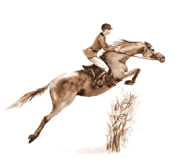 Sepia watercolor rider and horse, jumping a hurdle in forest on white. Jumping steeplechase competition horseman in jacket at. — Stock Photo, Image