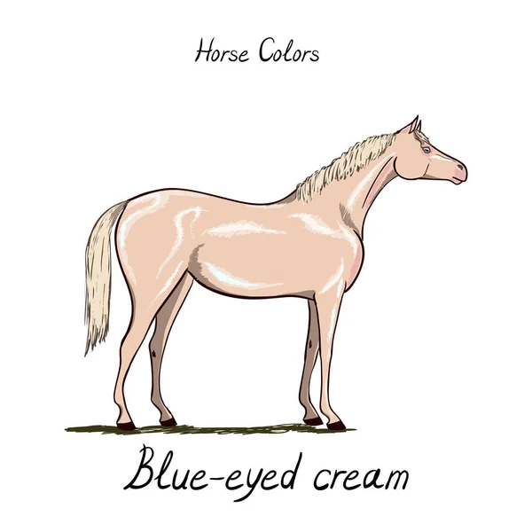 Kůň barevný graf. Koní kabát barvy s textem. — Stockový vektor