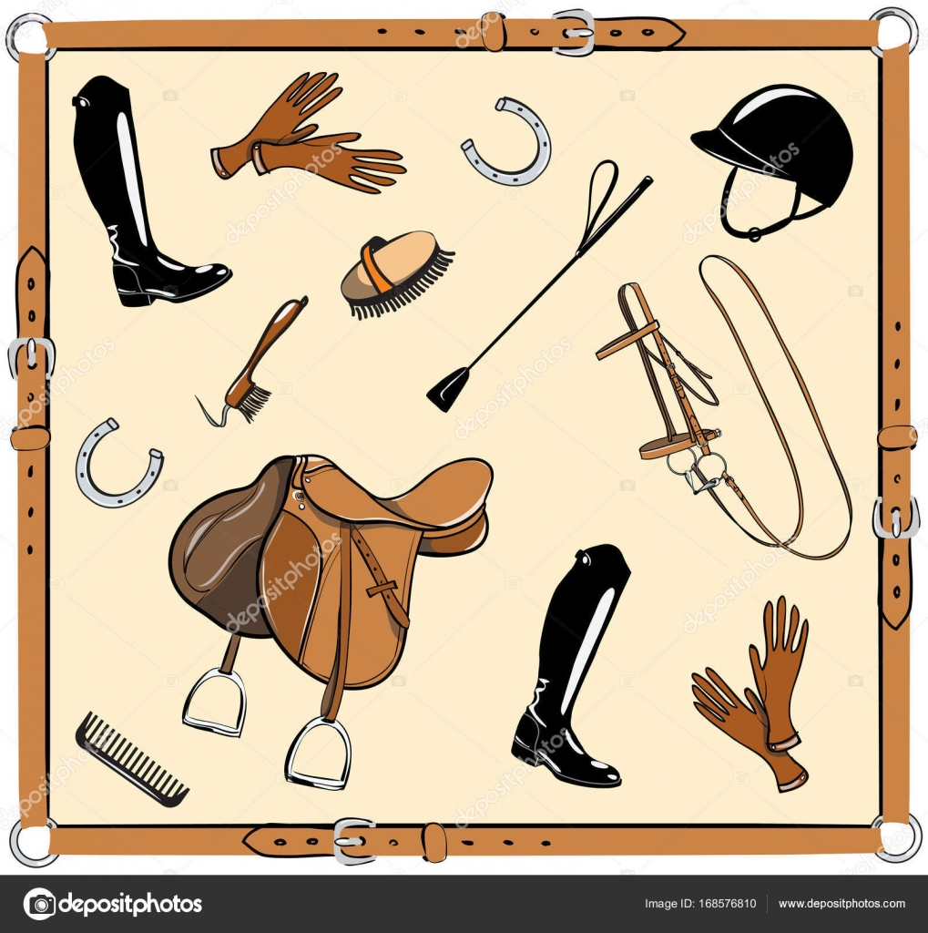 Horse tack gear online