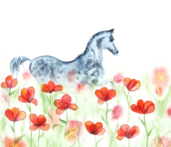 Акварель ручной работы dapple серый арабский конь в красных маков луга цветы на белом . — стоковое фото