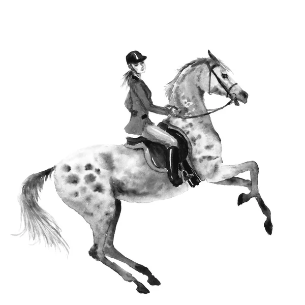 Cavaliere Cavallo Cavallo Grigio Ananas Illustrazione Disegno Mano Bianco Nero — Foto Stock