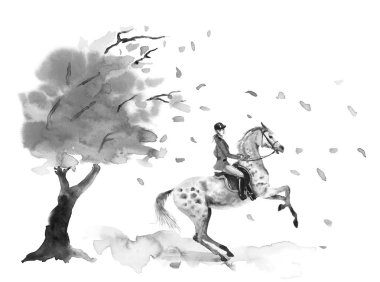 Gri at horseback binici ve alaca yetiştirme. Düşen rüzgarlı yaprakları ile sonbahar ağacı. Siyah beyaz tek renkli sulu boya veya mürekkep el sanat çizimi. Aygır kız. İngiltere'de atlı avlanma stili