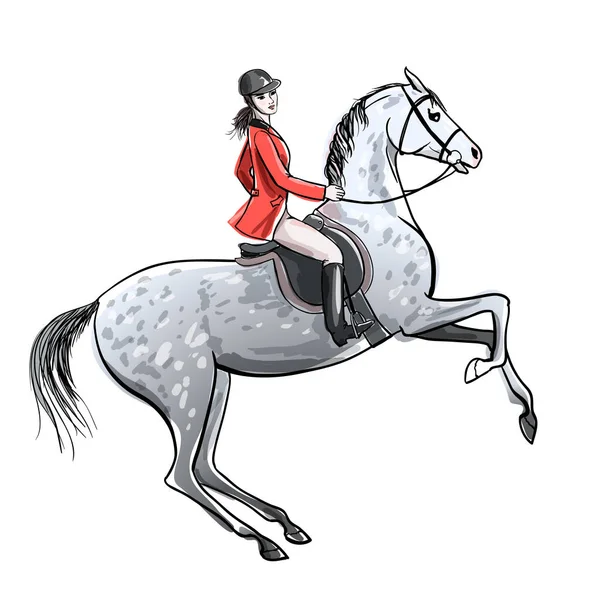 美丽的骑手和斑纹灰马白色 穿红夹克的骑士女孩养育种马英格兰马术运动风格 手绘矢量卡通插画 — 图库矢量图片