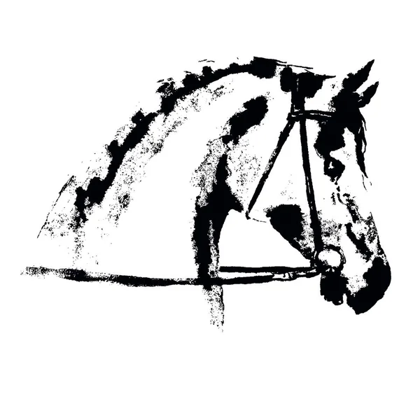 手绘马头像雕刻 轮廓与马术的运动笼罩着白色 白色背景的黑色 马术运动古董复古格子纹理印刷矢量风格 — 图库矢量图片