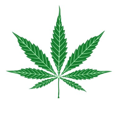 Kenevir yeşili yaprak beyaza izole edilmiş. Vektör karikatür el logo marihuana otu ya da kenevir bitkisi çiziyor. Şekil veya siluet bitkisel doğa sembolü. 