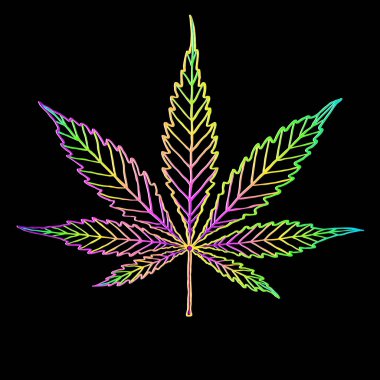 Esrar renkli yaprak siyaha izole edilmiş. Şekil veya siluet bitkisel doğa sembolü. Vektör karikatür çizer parlak gökkuşağı logosu marihuana veya kenevir bitkisi çizer. Satır sanatı. 