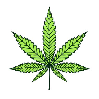 Kenevir yeşili yaprak beyaza izole edilmiş. Vector doodle freehand çizgi filmindeki el logo marihuana otu ya da kenevir bitkisi çiziyor. Şekil veya siluet bitkisel doğa sembolü. 