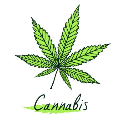 Kenevir yeşili yaprak beyaza izole edilmiş. Vector doodle freehand çizgi filmindeki el logo marihuana otu ya da kenevir bitkisi çiziyor. Harflerle şekillendirilmiş ya da siluet bitkisel semboller 