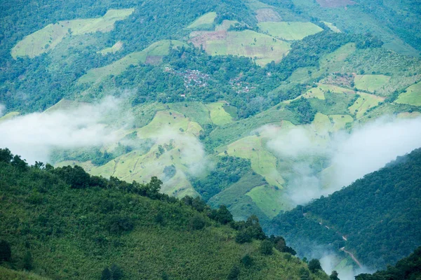 Mountain farming in Thailand — Stock Photo, Image