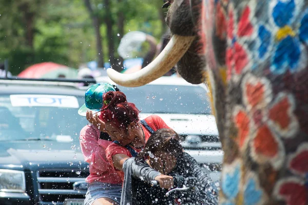 Revelers and elephants in water splashing — Stock Photo, Image