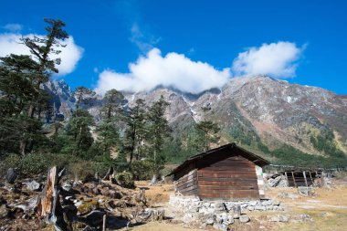 Yumthang Vadisi, Hindistan