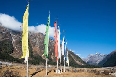 Yumthang Vadisi, Hindistan