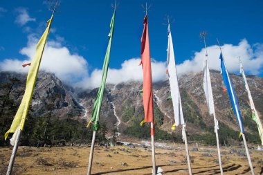 Yumthang Vadisi, Hindistan