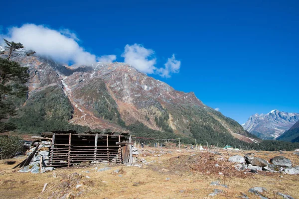 Dolina Yumthang, Indie — Zdjęcie stockowe