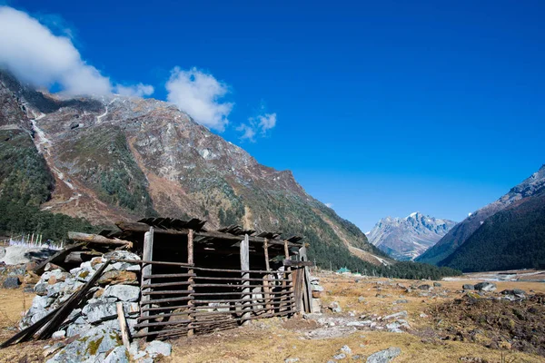 Yumthang Valley, Indien — Stockfoto