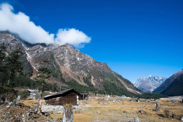 Valle de Yumthang, India —  Fotos de Stock