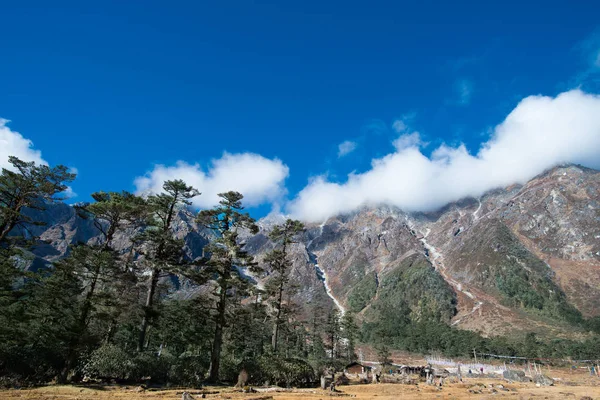 Yumthang vallei, India — Stockfoto