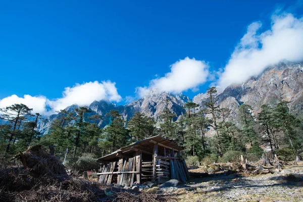 Valle de Yumthang, India —  Fotos de Stock