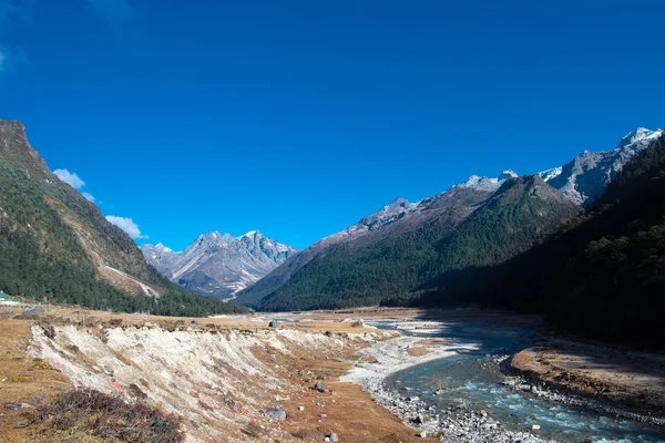 Yumthang vallei, India — Stockfoto