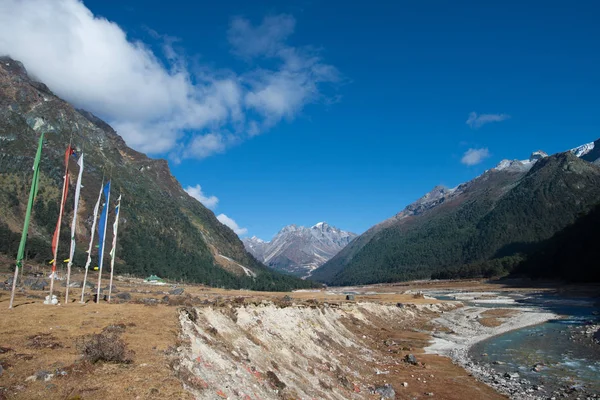 Yumthang vallei, India — Stockfoto