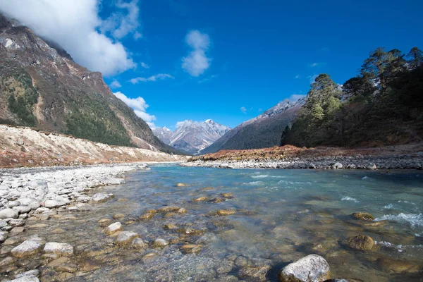 Yumthang vallei, India — Stockfoto