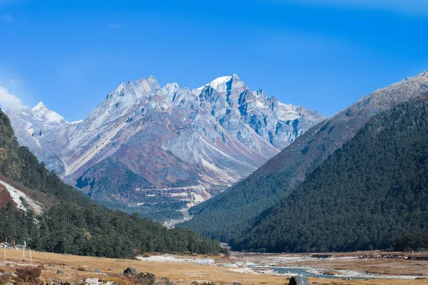 Vallée du Yumthang, Inde — Photo