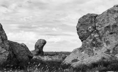 Siyah ve beyaz kayalar