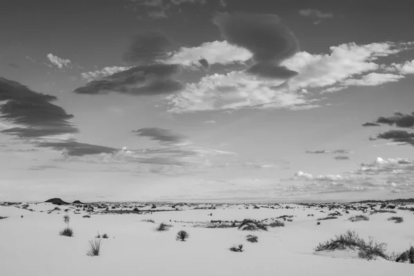 B&W White Sands woestijn — Stockfoto