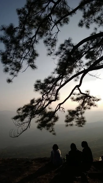 Bella alba sulla montagna phukradung — Foto Stock