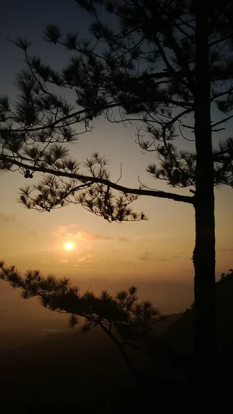 Zonsopgang op de phukradung berg — Stockfoto