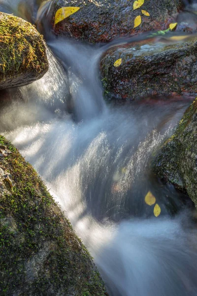 Ruisseau Coule Travers Les Roches Concept Automne — Photo