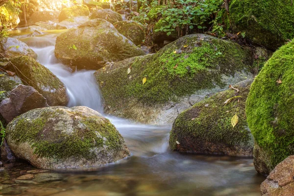 クリーク川が岩を流れている 秋のコンセプト — ストック写真