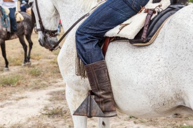 İspanyol binici ekipmanlarının detayları. Epiphany atları. El Rocio.
