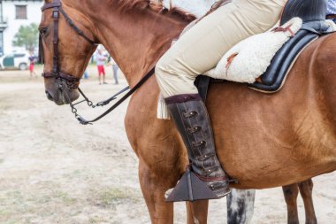 İspanyol binicilik ekipmanları. Epiphany atları. El Rocio