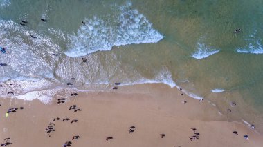 Havadan. Gökyüzünden deniz manzaralı turistler.