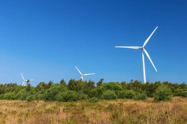 風力発電機が森に並ぶ ポルトガル Sagres — ストック写真